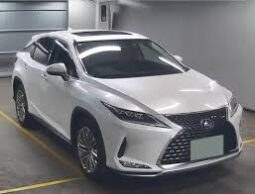 
										Used 2020 Lexus RX series 450h L full									